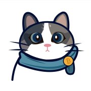 btcnightcat